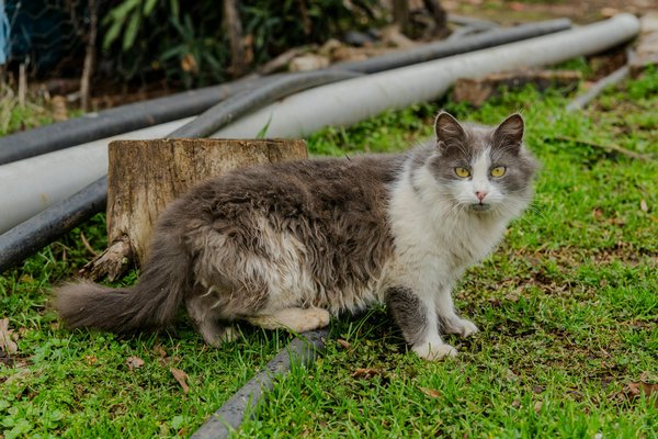 Innovations et accessibilité dans le laboratoire de biologie médicale