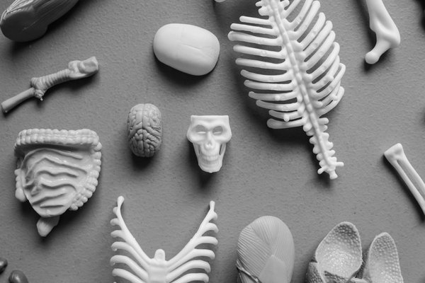 Dégénérescence maculaire liée à l'âge : causes, symptômes et traitement